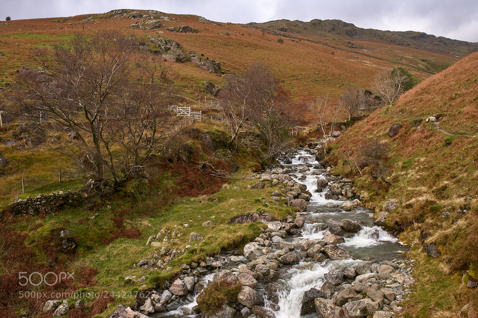 Sony SLT-A99V sample photo. Wasdale stream photography