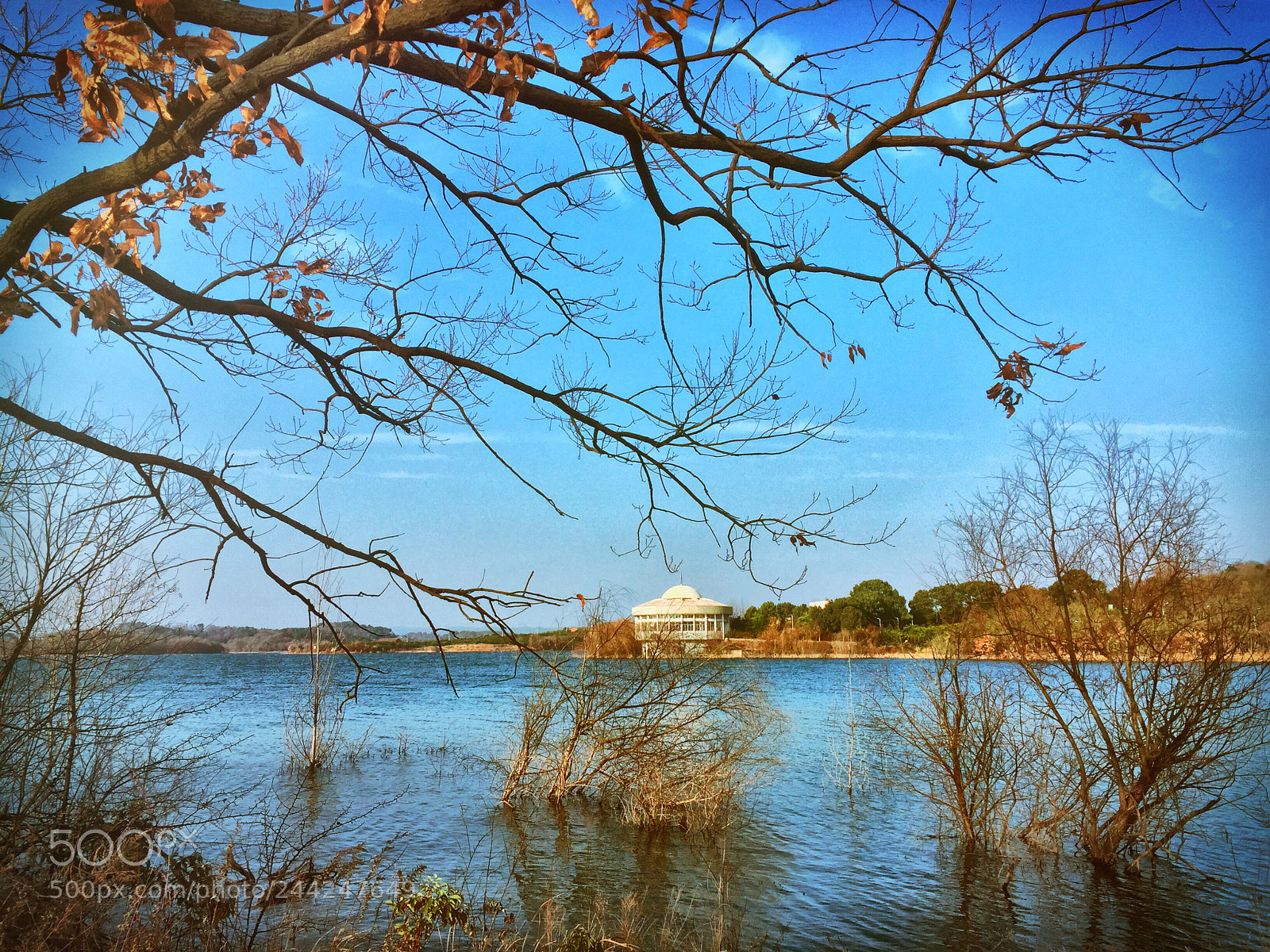 Apple iPhone 6 Plus sample photo. Untitled photography