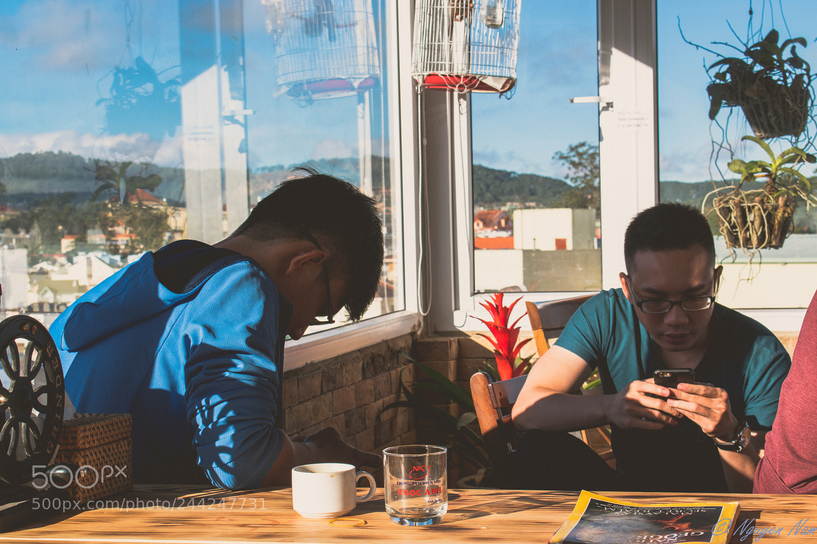 Nikon D5500 sample photo. Morning with friends photography
