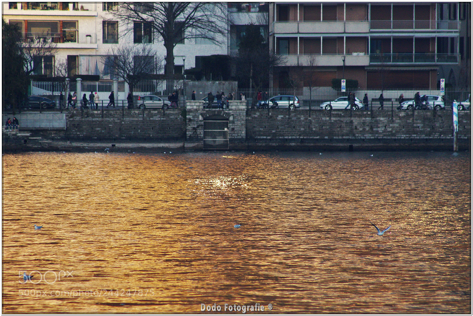 Canon EOS 1200D (EOS Rebel T5 / EOS Kiss X70 / EOS Hi) sample photo. Img photography