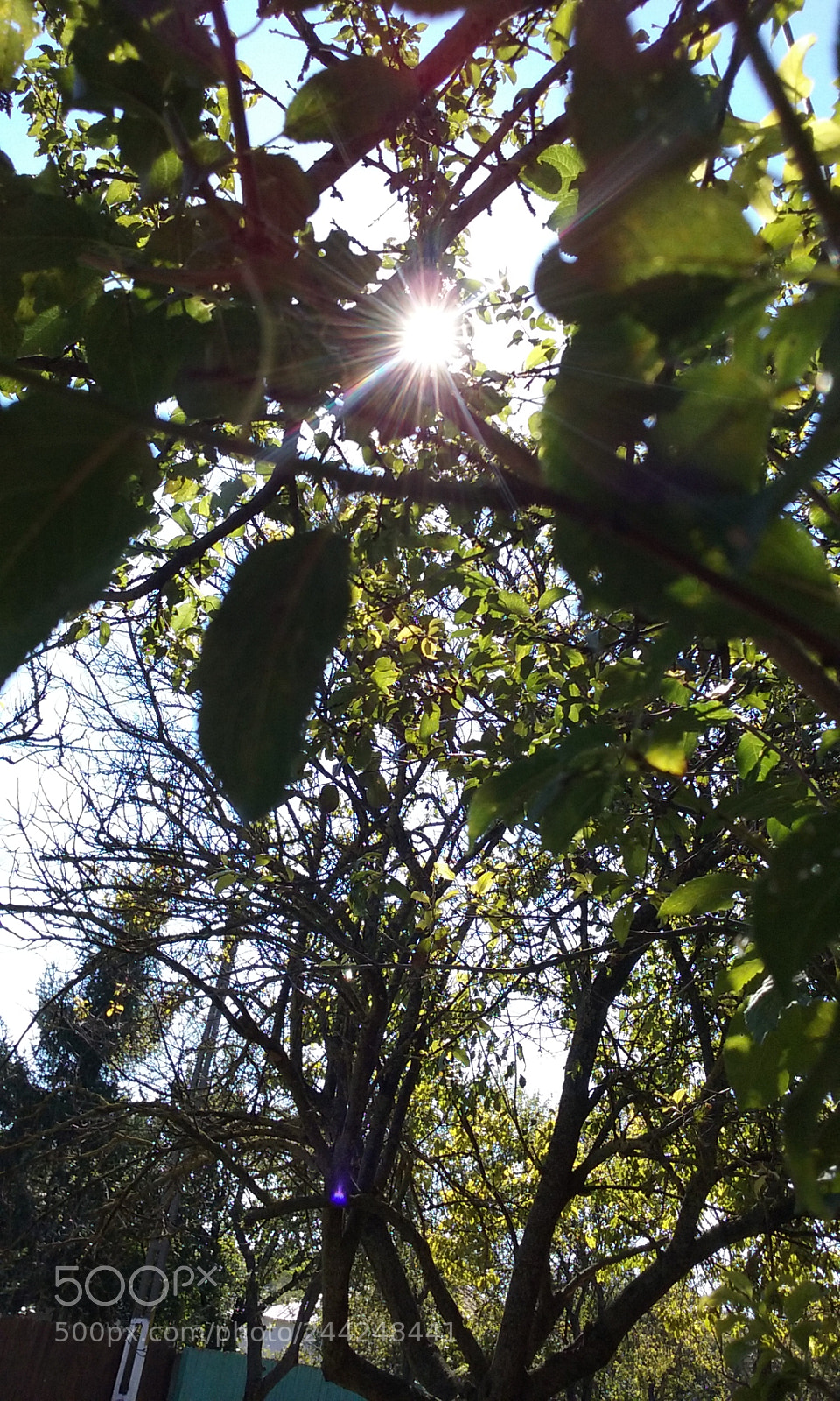 Samsung Galaxy Core Prime sample photo. Sun is up photography