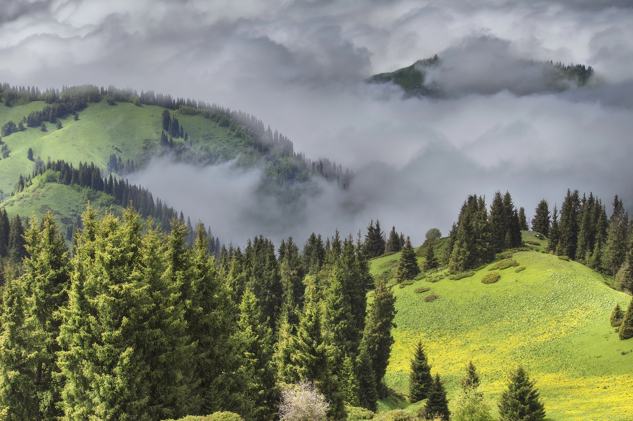 Ildar Galiyev (bokady) Photos / 500px