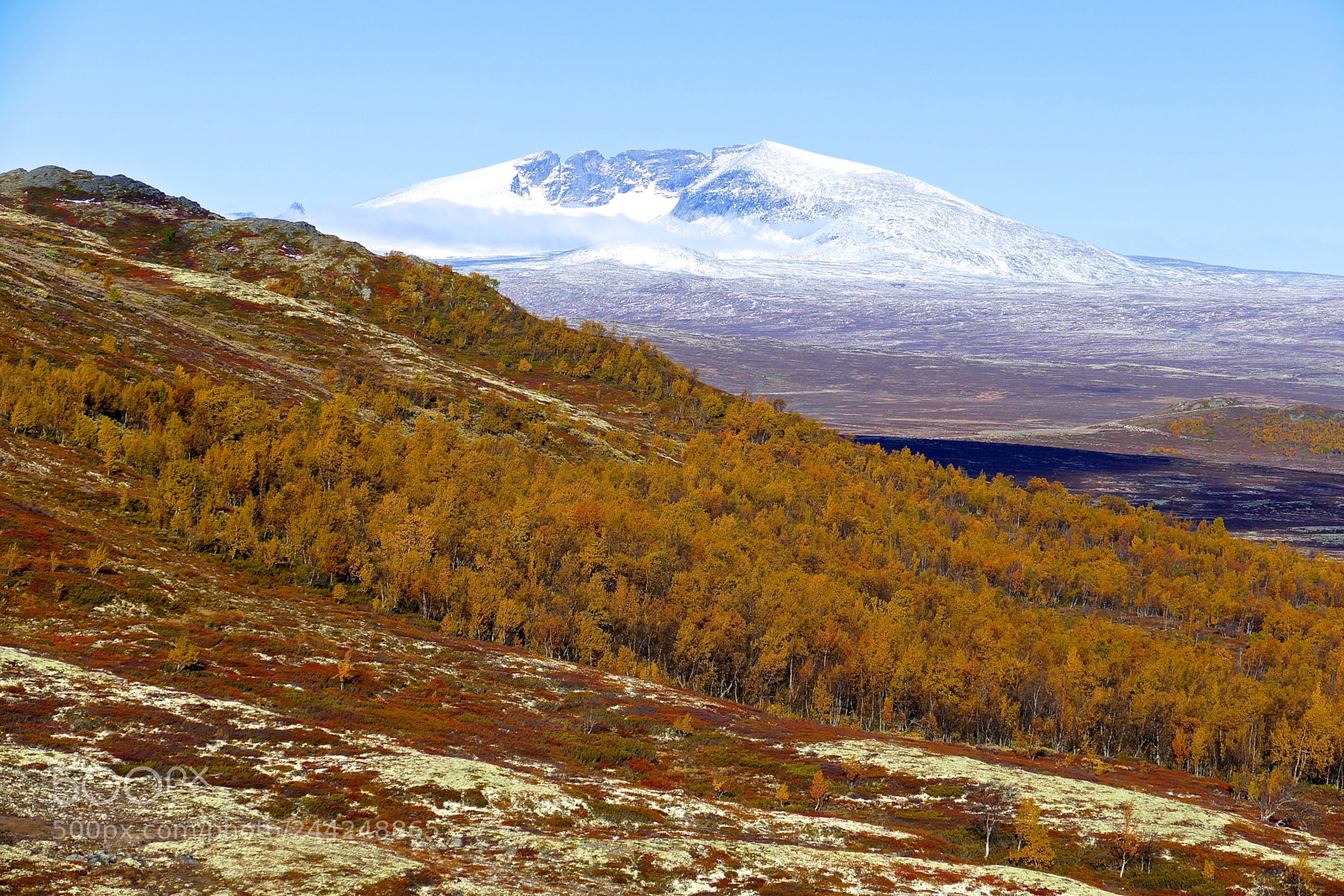 Leica V-Lux (Typ 114) sample photo. Dovre mountain photography