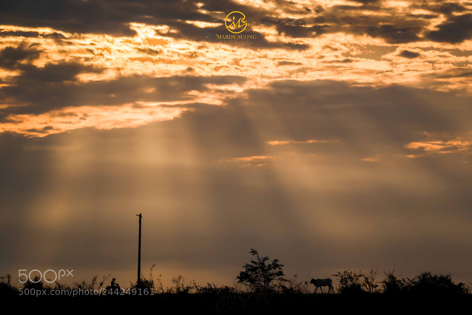 Nikon D800 sample photo. មានតែអ្នក និងខ្ញុំប៉ុណ្ណោះ ! just you and me ! photography