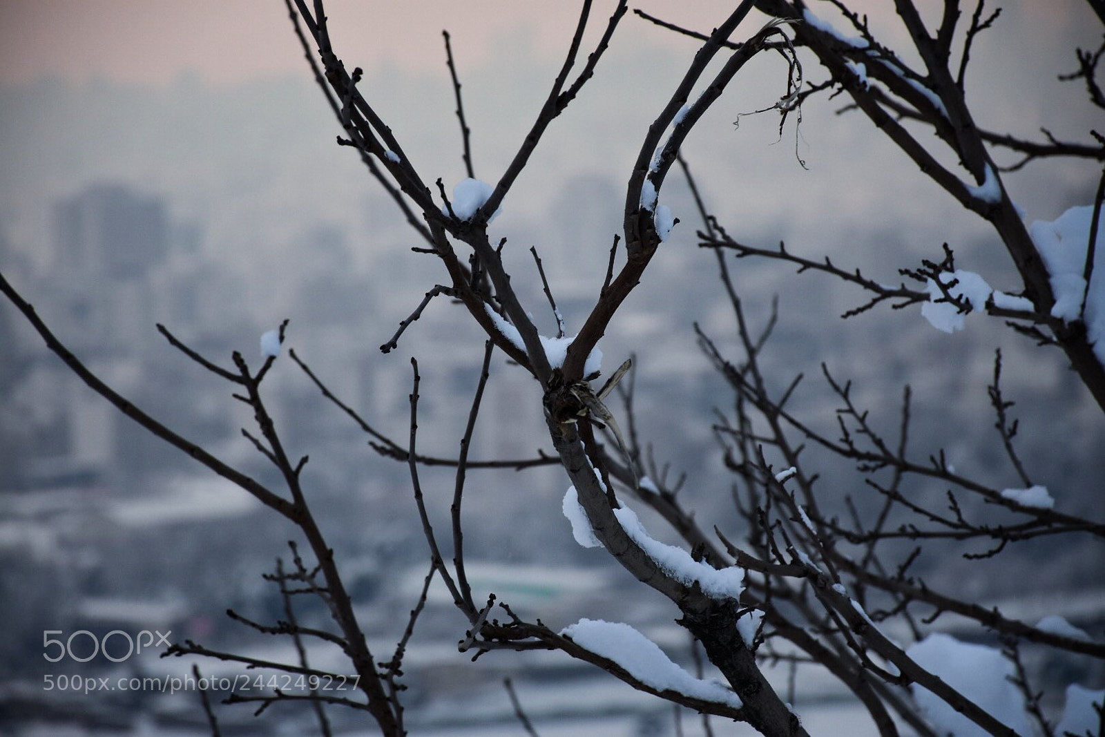 Nikon D7200 sample photo. #nikon #nikond7200 #snow photography