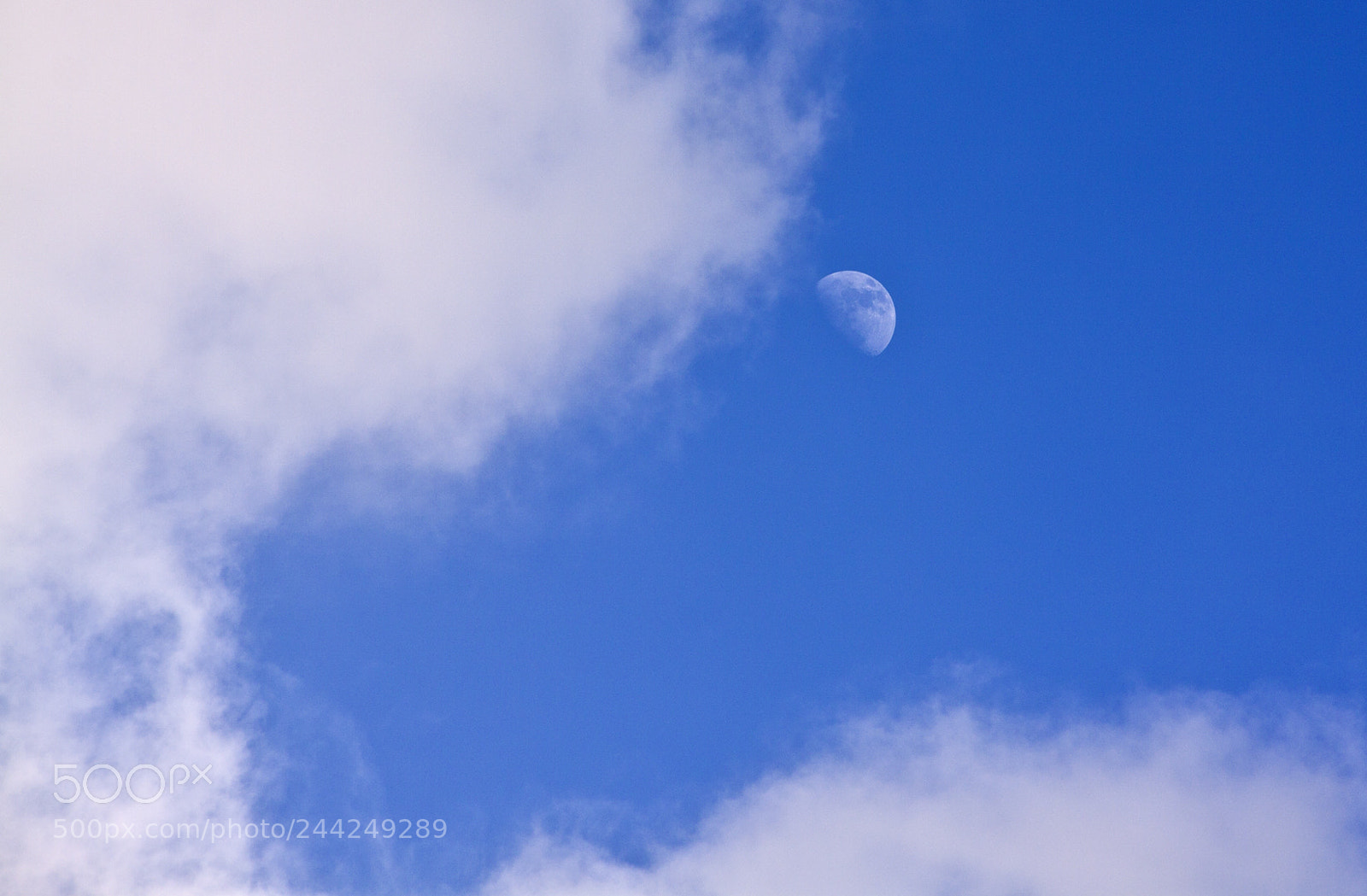 Canon EOS 50D sample photo. Grab me if you photography