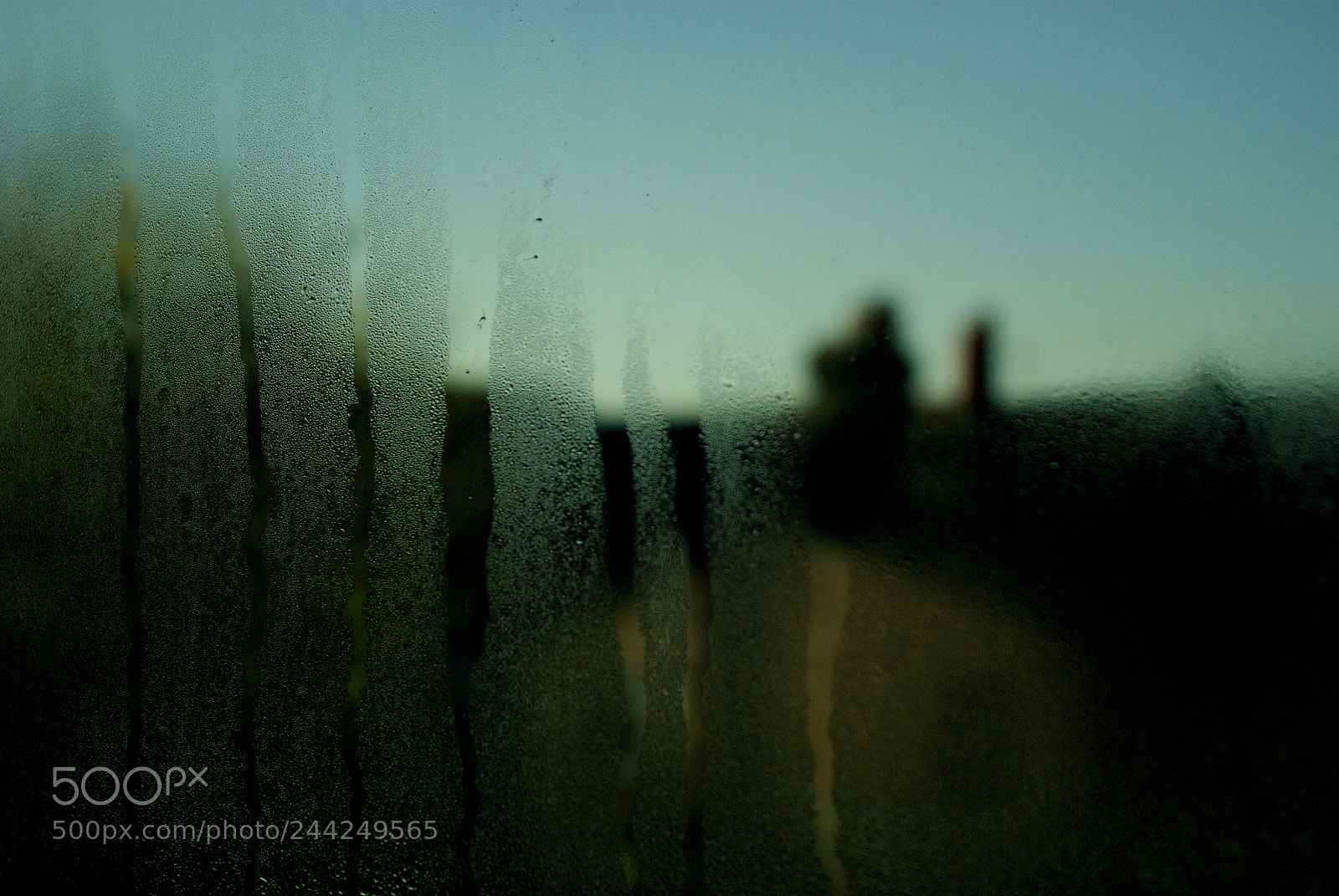 Pentax K10D sample photo. Windows:untitled photography
