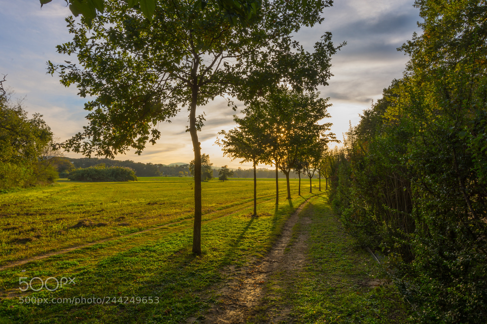 Nikon D7100 sample photo. Verso il tramonto photography