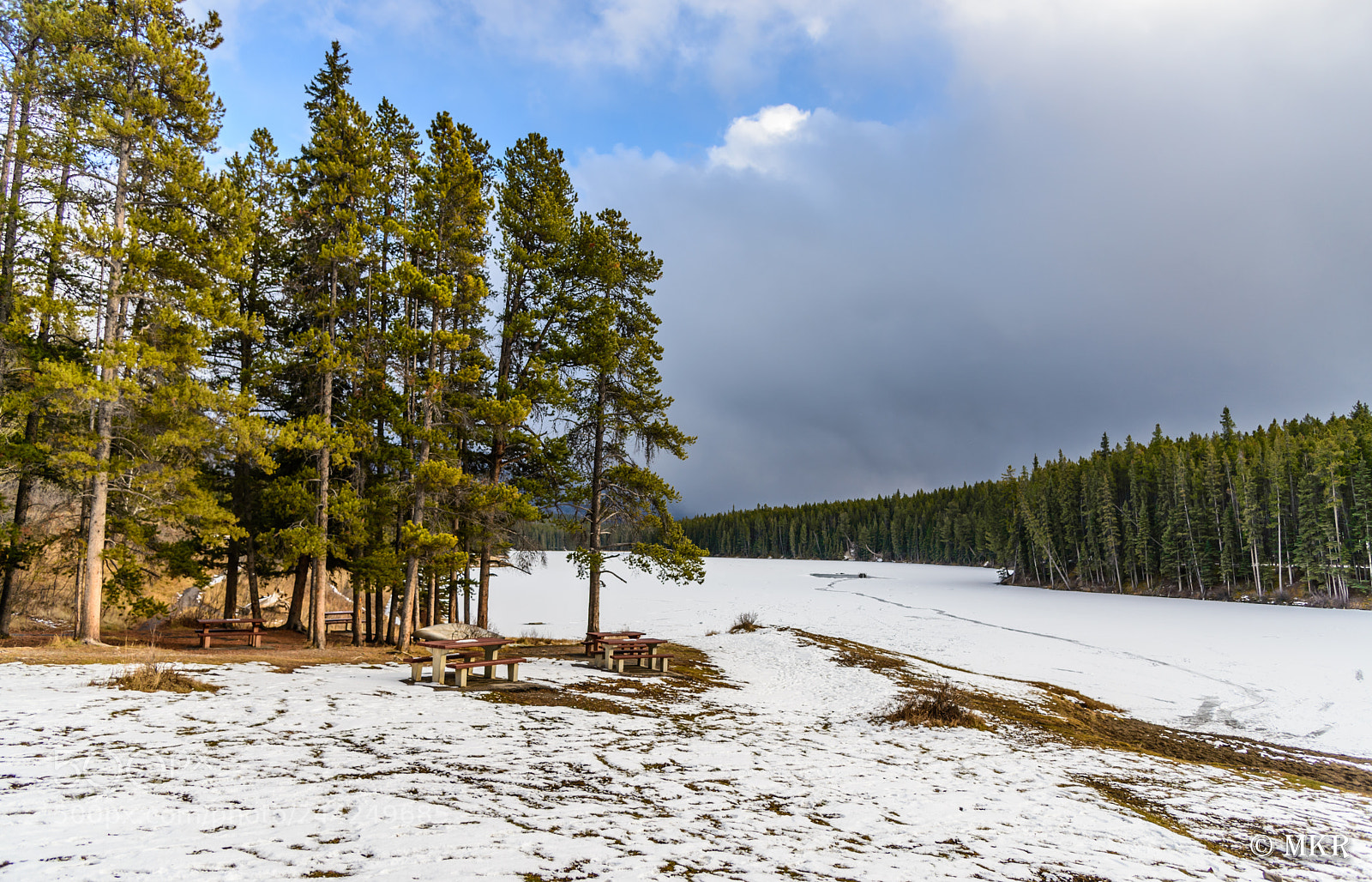 Nikon D610 sample photo. Frozen river in trees photography