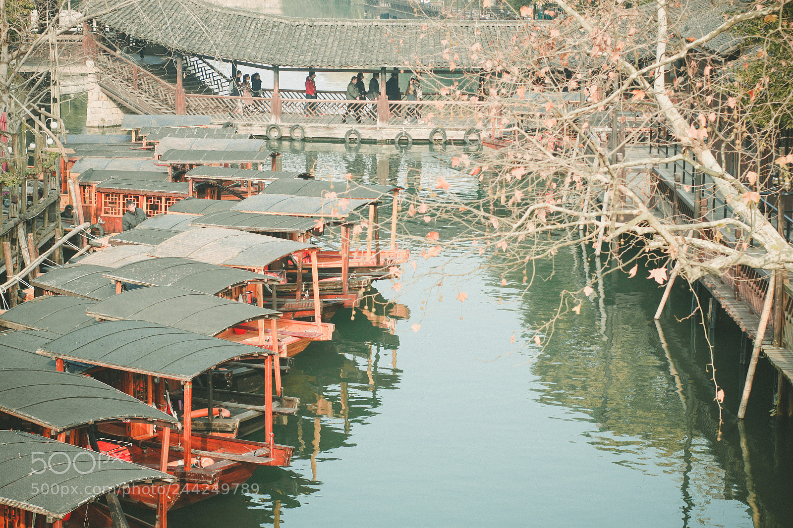Canon EOS 500D (EOS Rebel T1i / EOS Kiss X3) sample photo. Wuzhen () photography