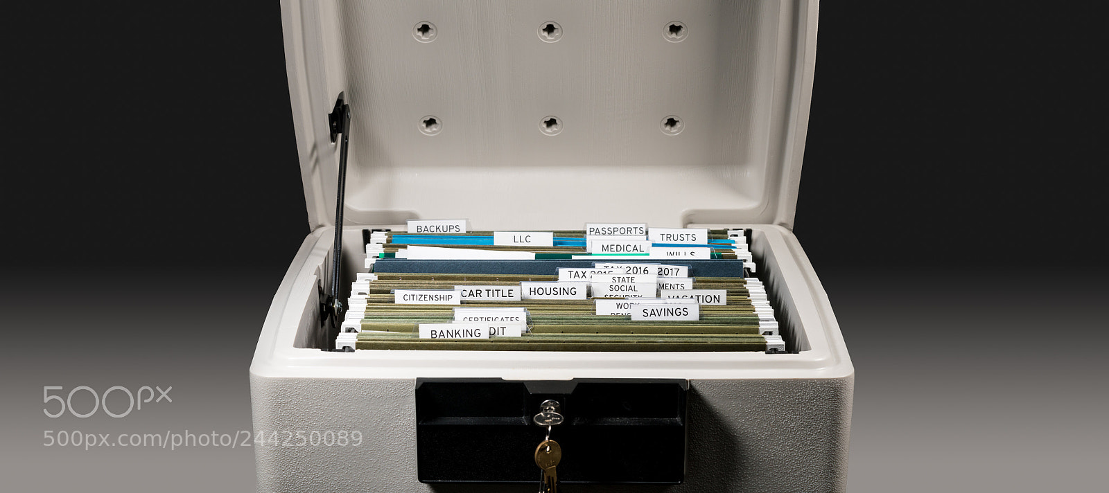 Sony a7R II sample photo. Home filing system for photography