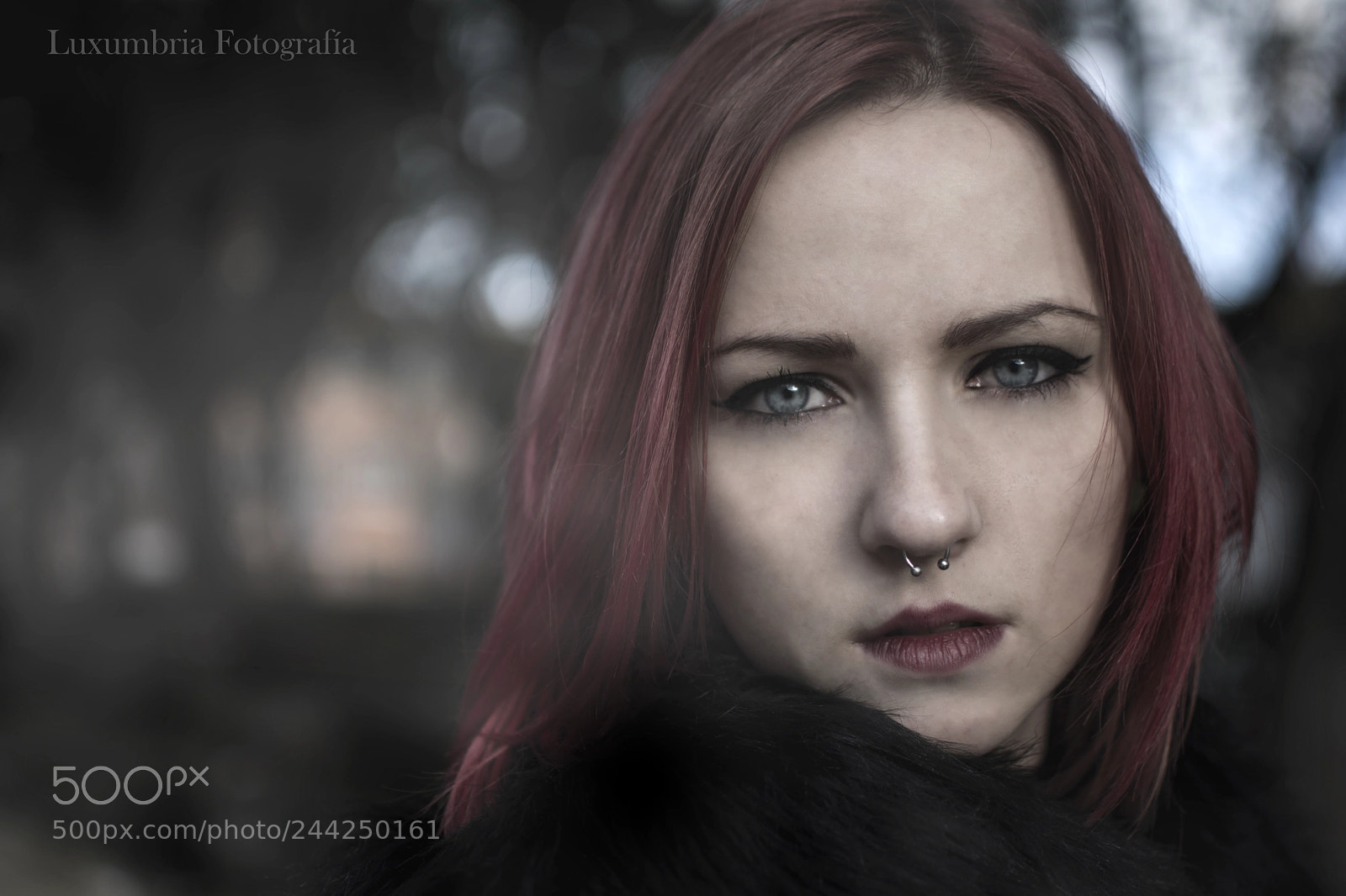 Nikon D7100 sample photo. Beauty dark photography