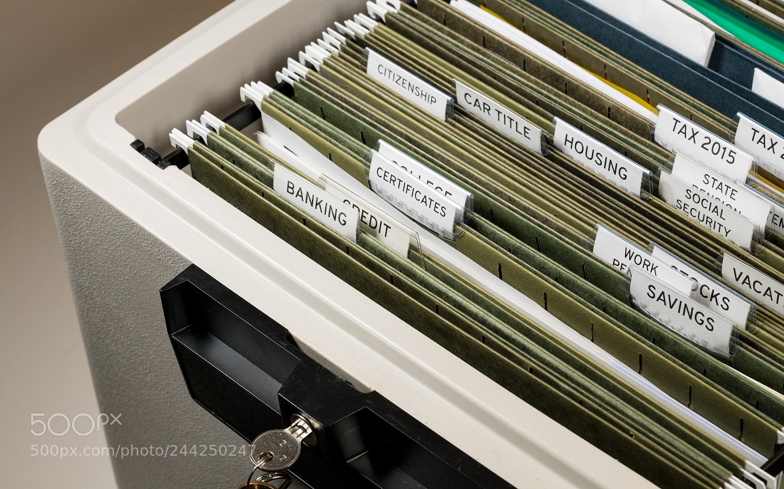 Sony a7R II sample photo. Home filing system for photography