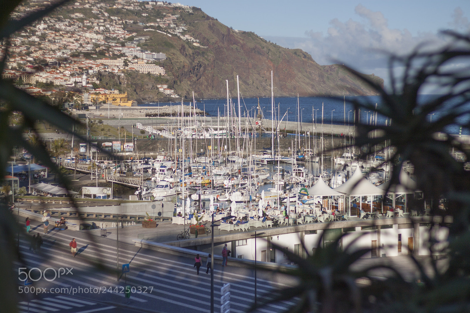 Canon EOS 500D (EOS Rebel T1i / EOS Kiss X3) sample photo. Funchal pier photography