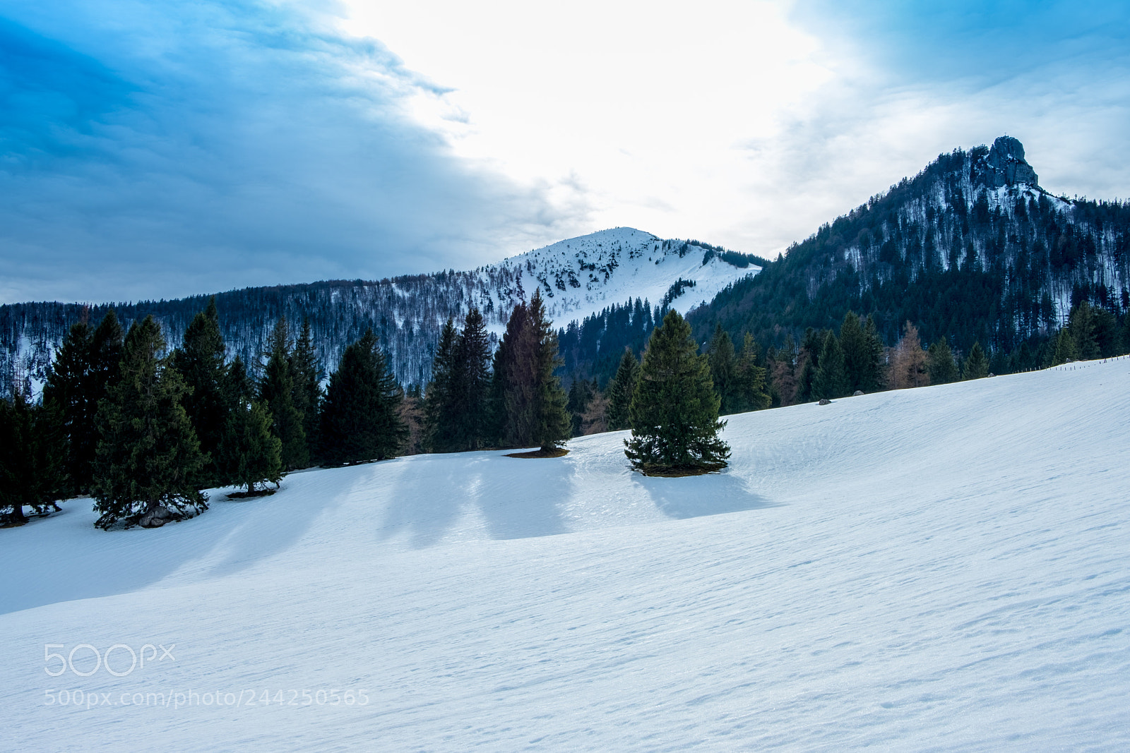 Fujifilm X-T2 sample photo. Staffn alm, bavaria, germany photography