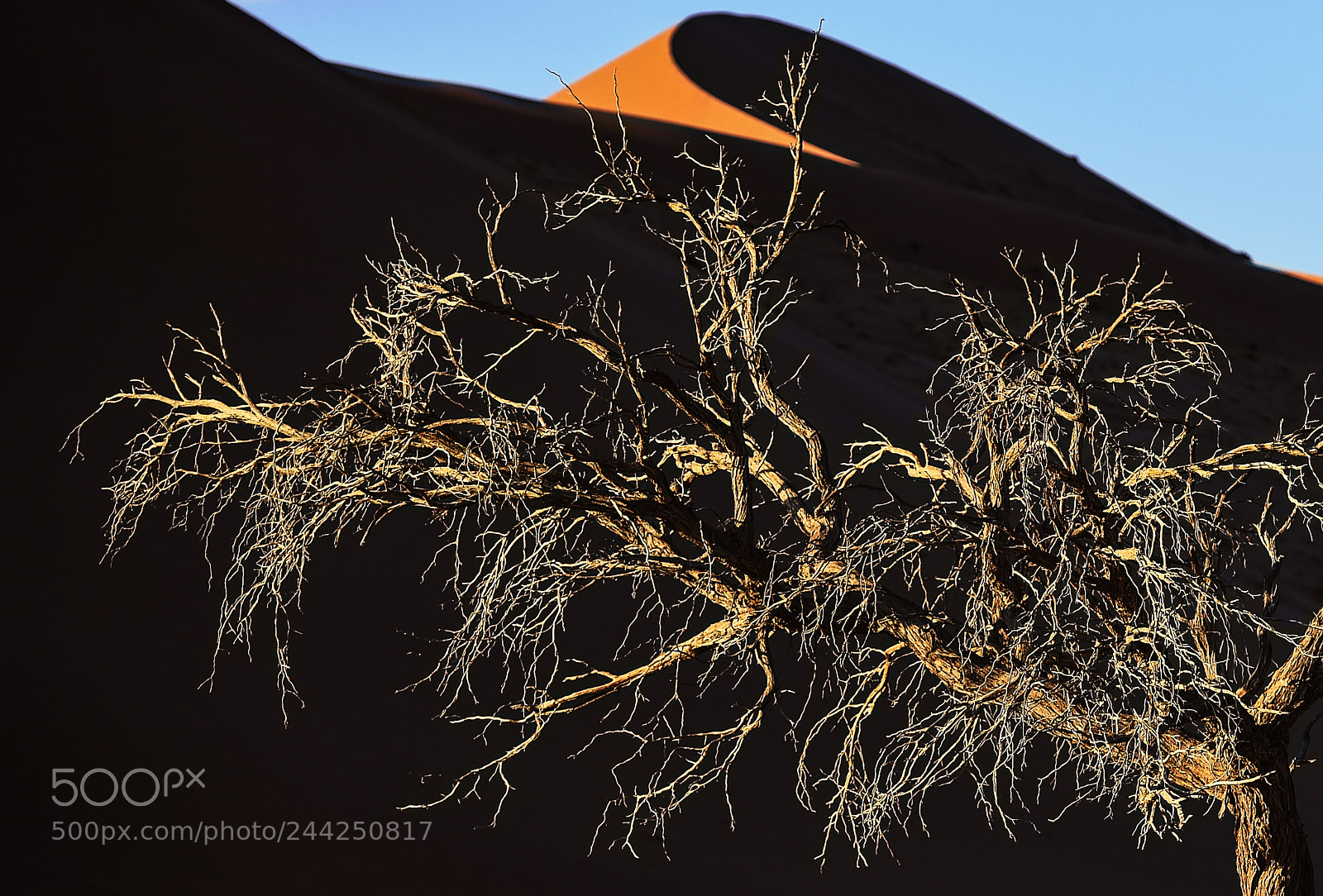 Nikon D4S sample photo. Quiet morning at dune 45 photography