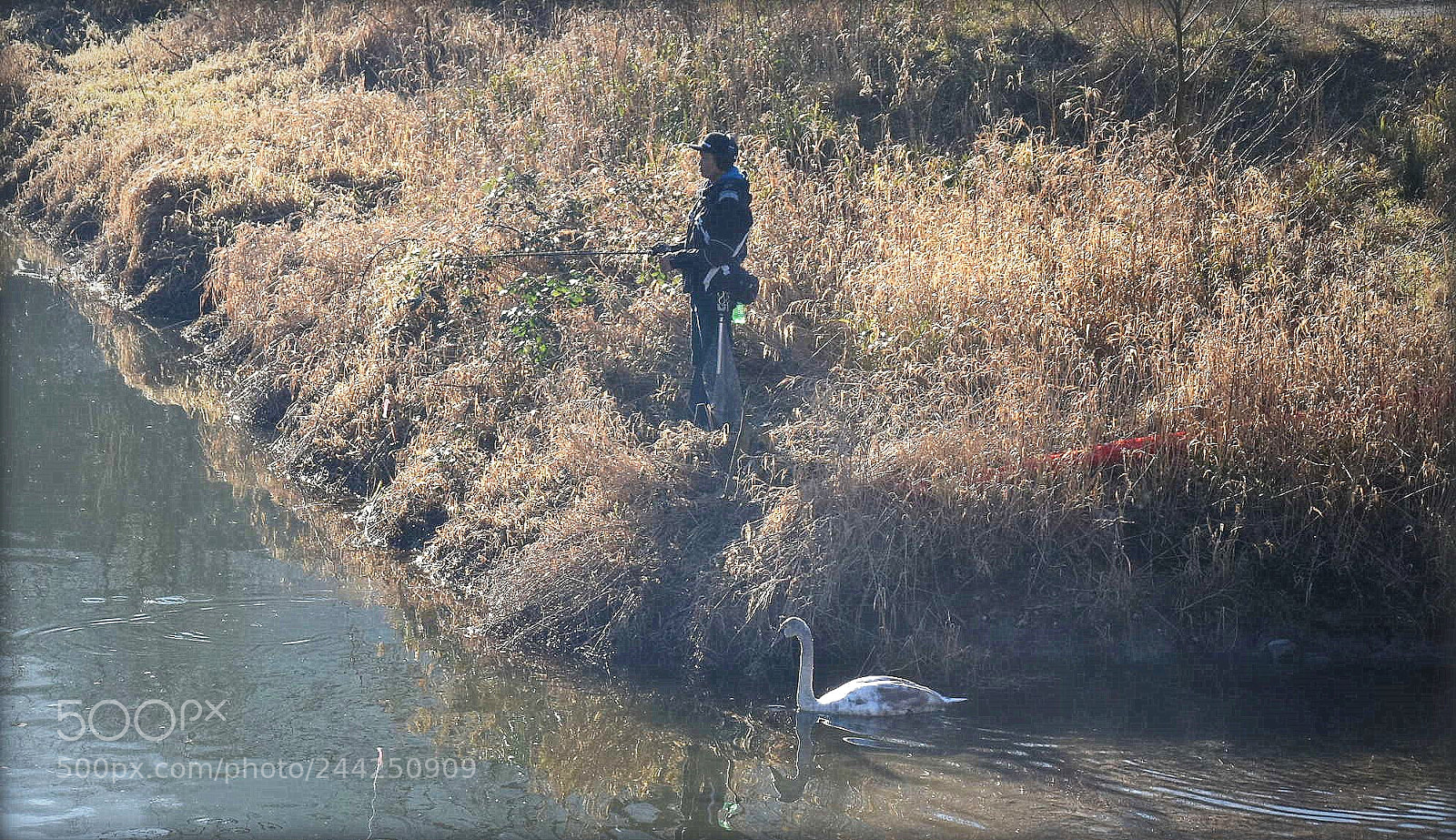 Nikon D7200 sample photo. "fishing" photography