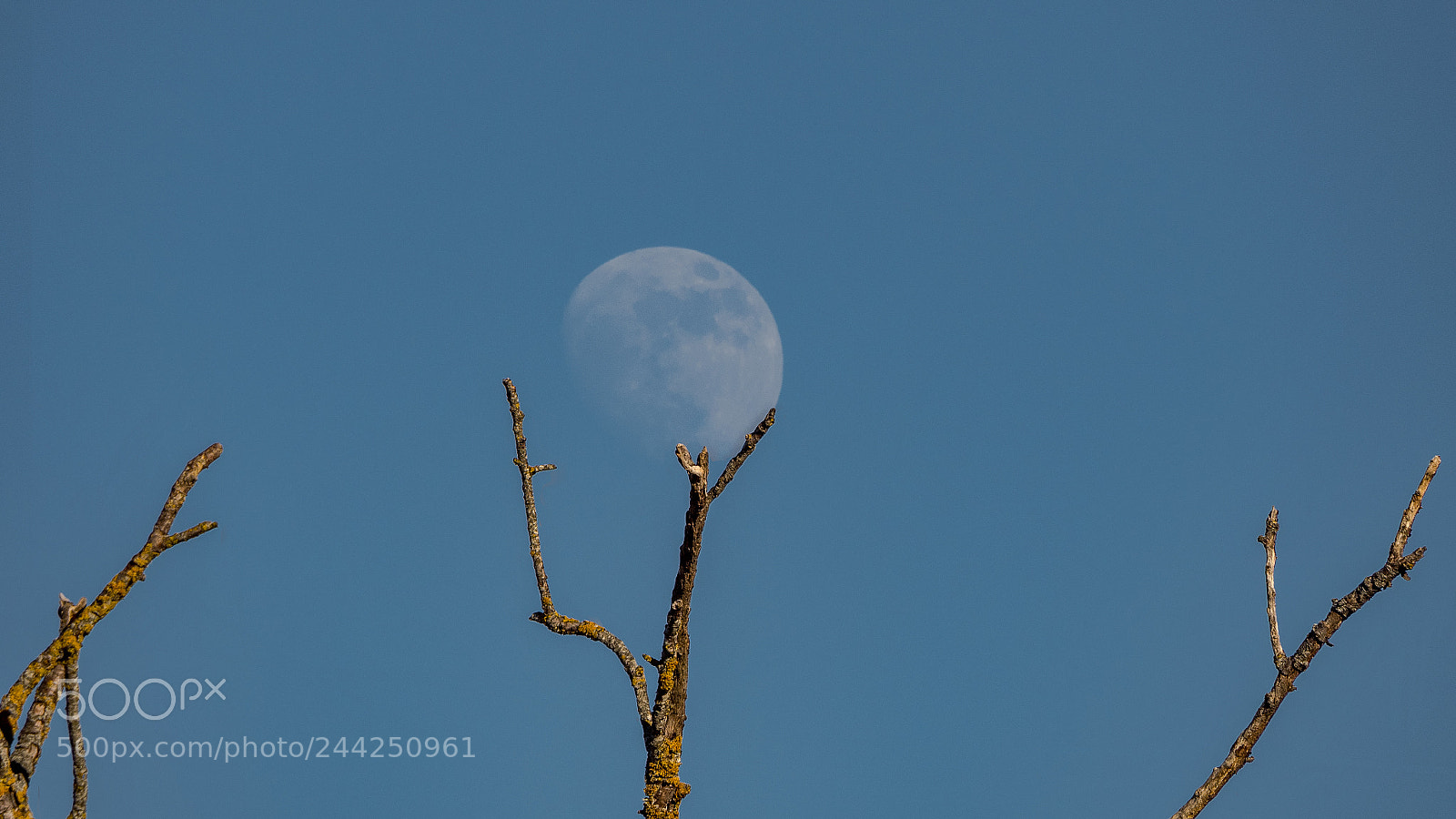 Olympus OM-D E-M5 II sample photo. Jugando a volei-moon photography