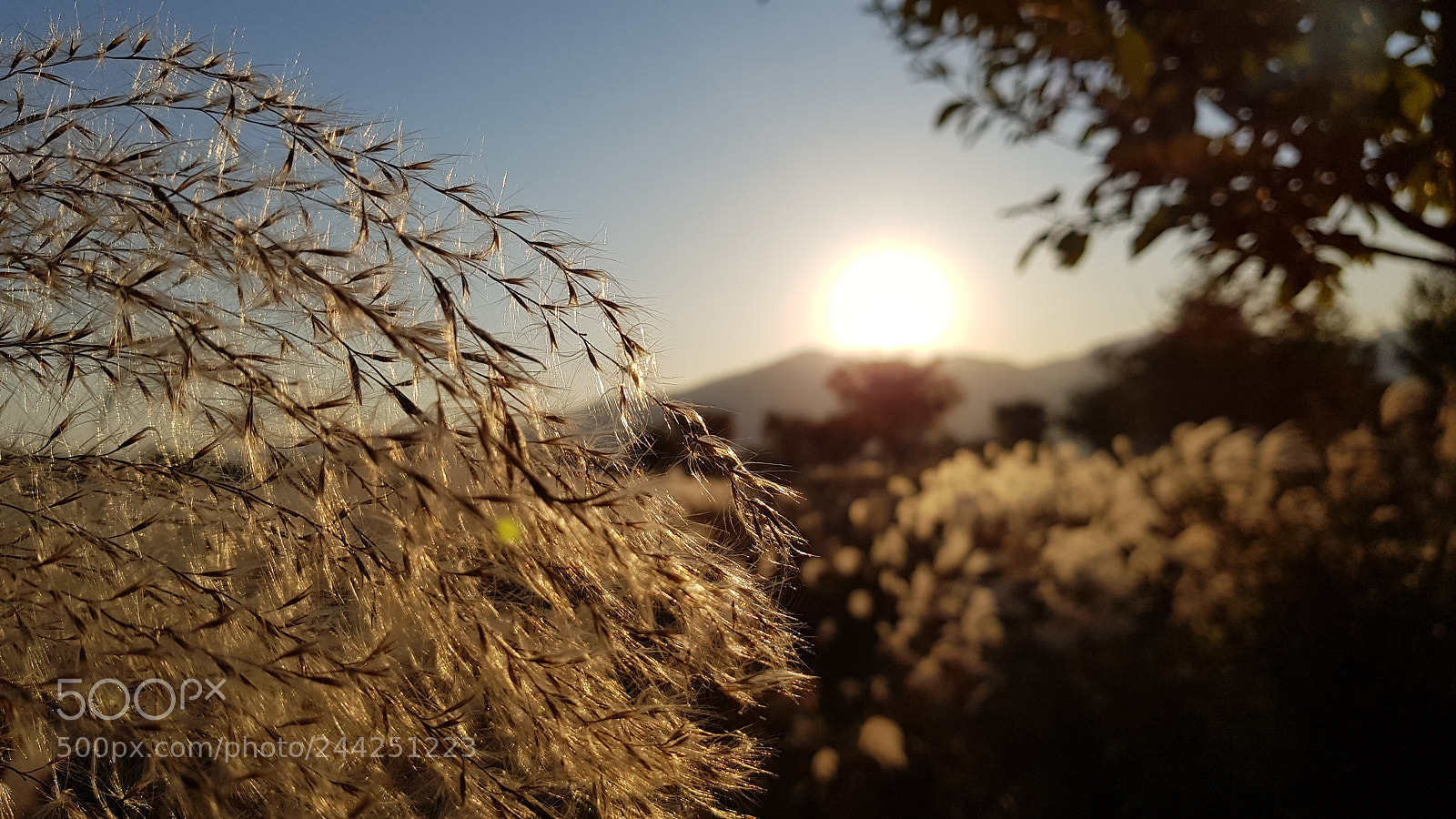 Samsung Galaxy S8 sample photo. Untitled photography