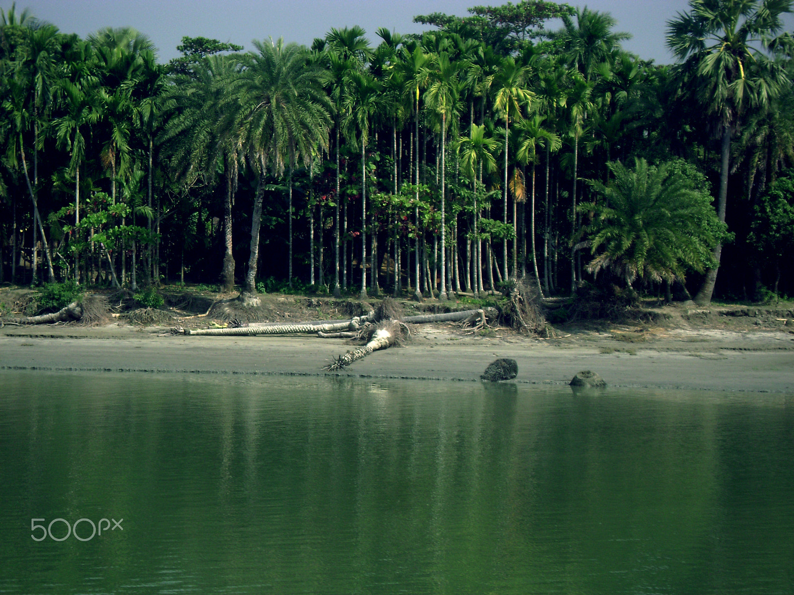 Sony DSC-S650 sample photo. Bank of meghna photography