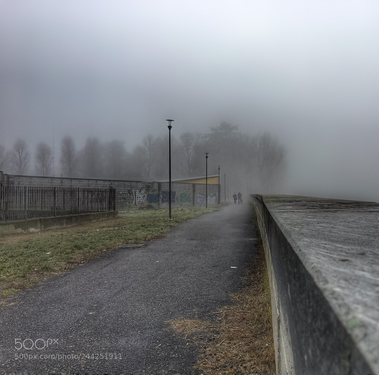 Apple iPhone 6s sample photo. Fog ii  photography