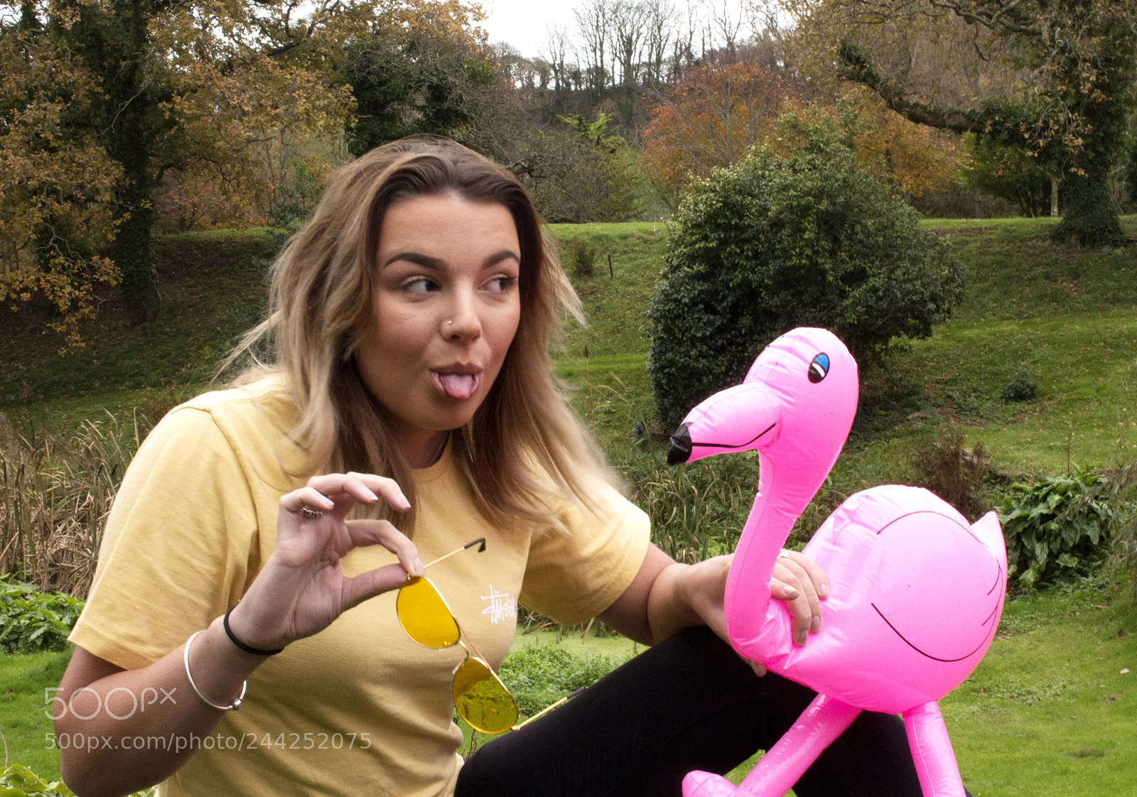 Canon EOS 650D (EOS Rebel T4i / EOS Kiss X6i) sample photo. Flamingo photography