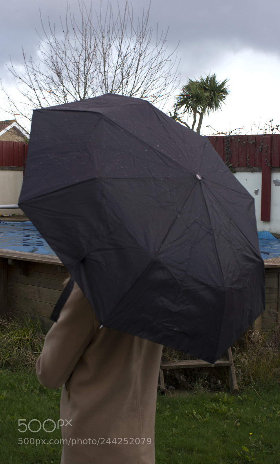 Canon EOS 1200D (EOS Rebel T5 / EOS Kiss X70 / EOS Hi) sample photo. Undermyumbrella photography