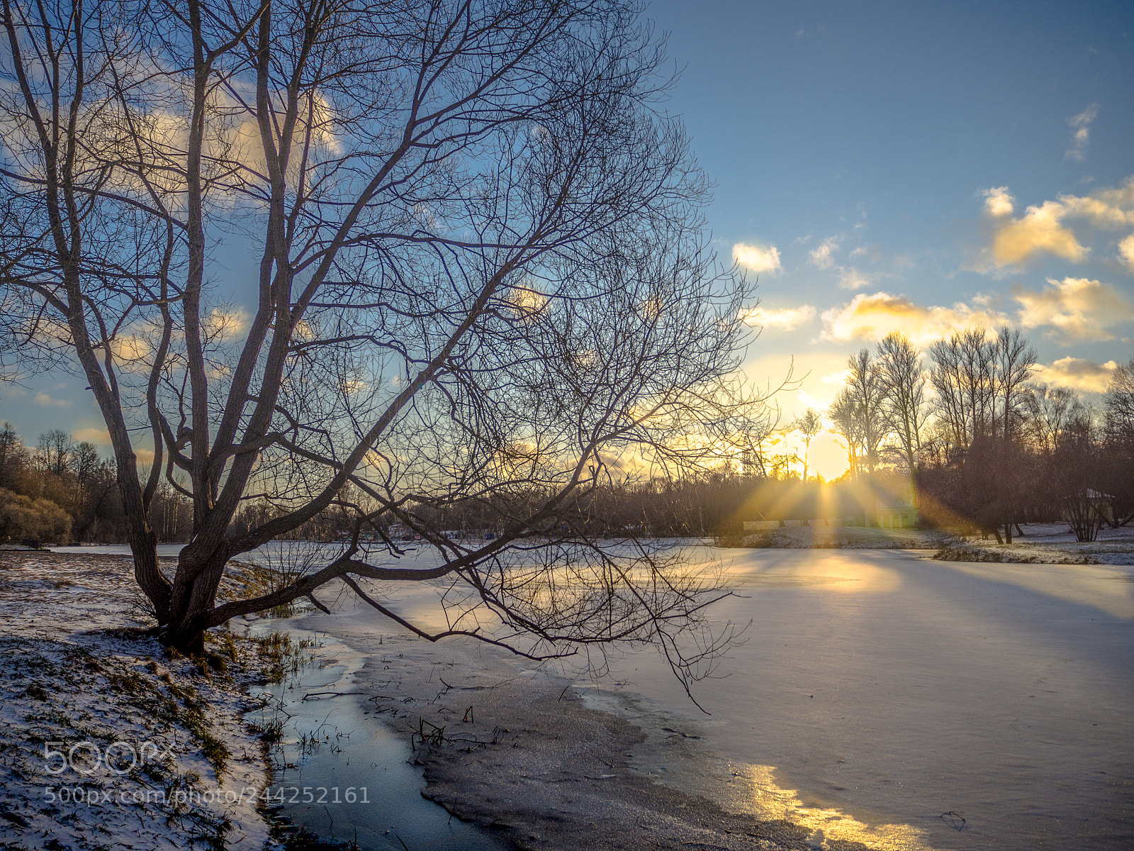 Olympus OM-D E-M10 II sample photo. Winter sun over the photography