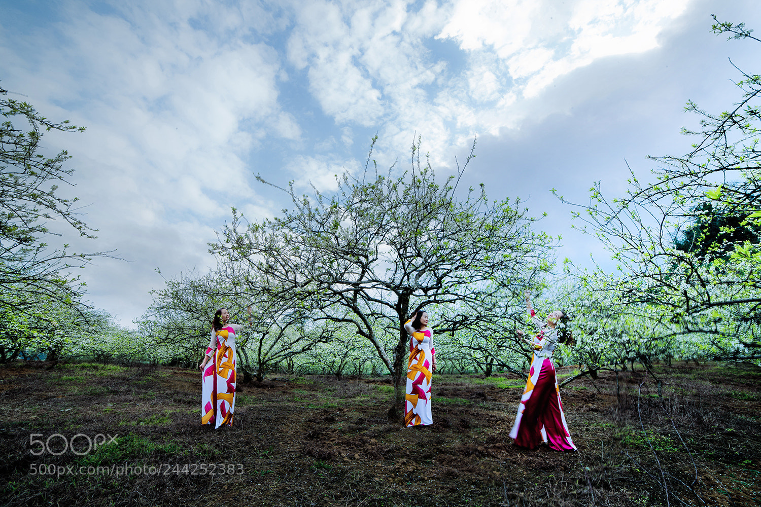 Canon EOS-1Ds Mark III sample photo. 2224412.jpg photography