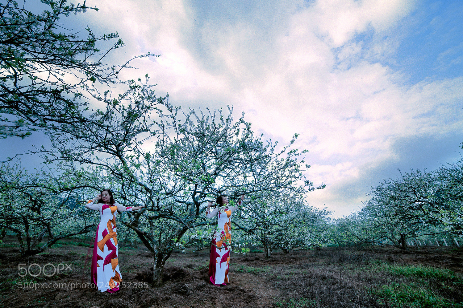 Canon EOS-1Ds Mark III sample photo. 2224492.jpg photography