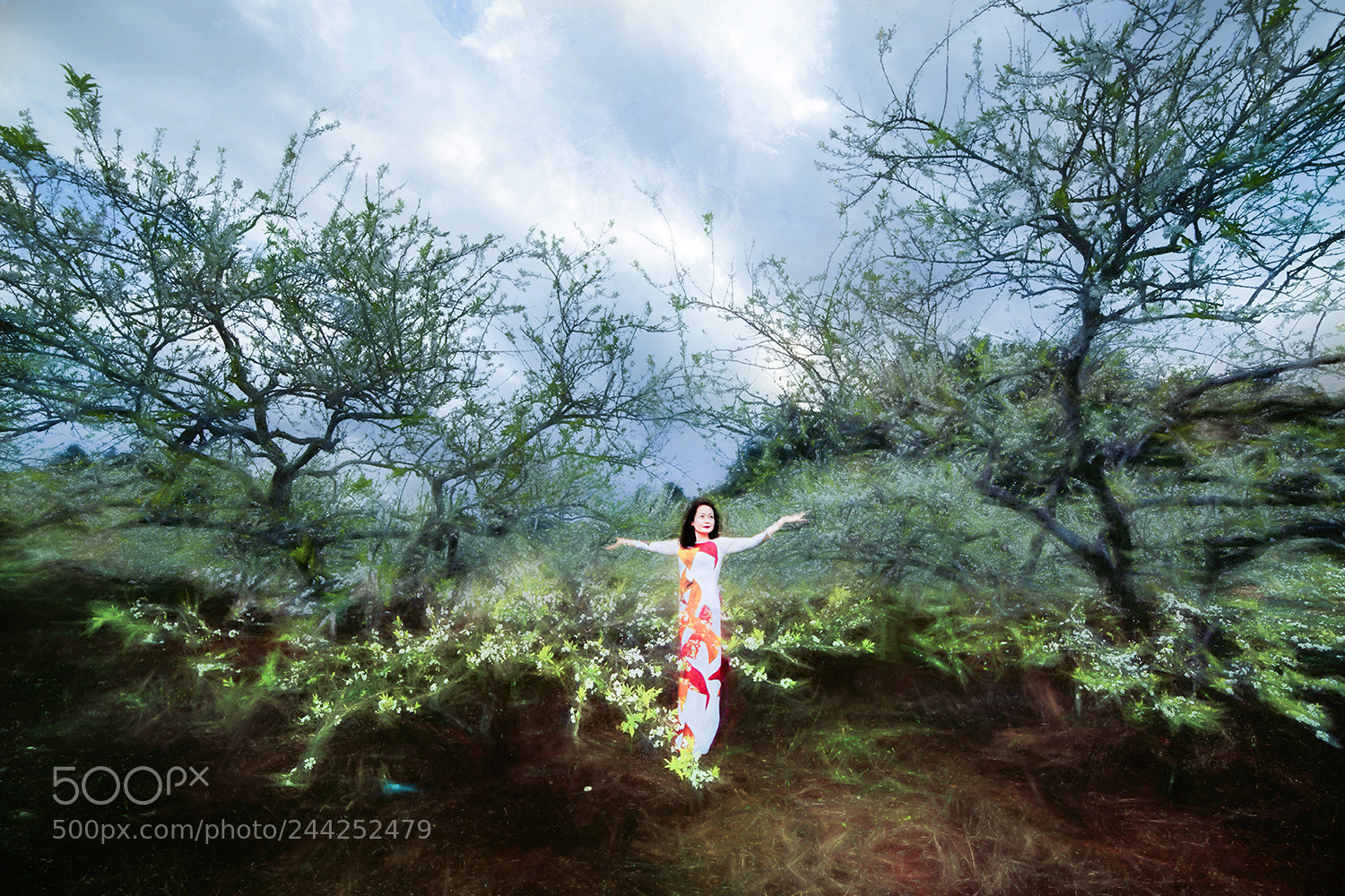 Canon EOS-1Ds Mark III sample photo. 2224552.jpg photography