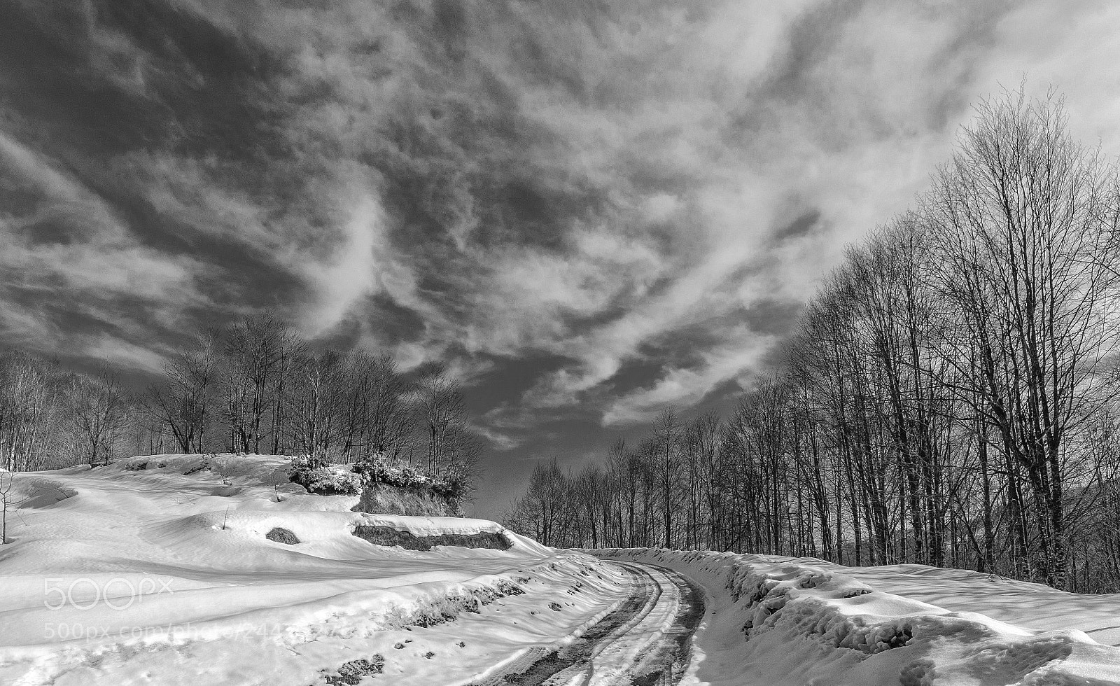 Nikon D300 sample photo. Snow closed the road... photography