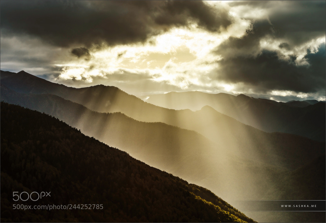 Sony Alpha a99 sample photo. Sun rays lighting through photography