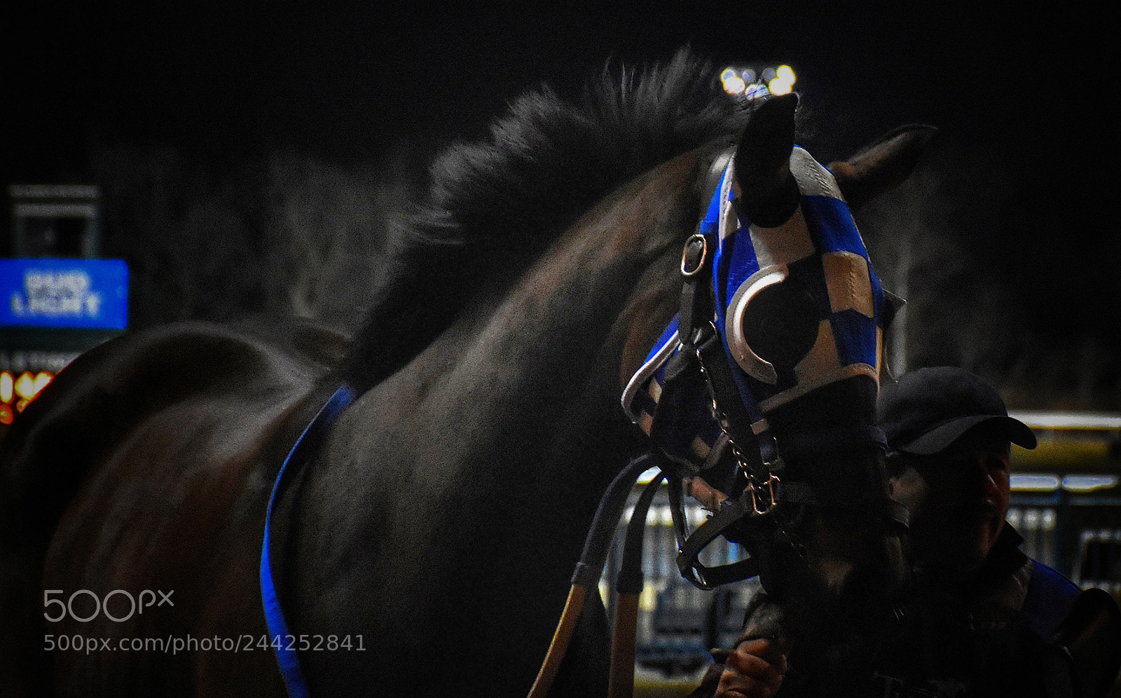 Nikon D7200 sample photo. Blue spark photography