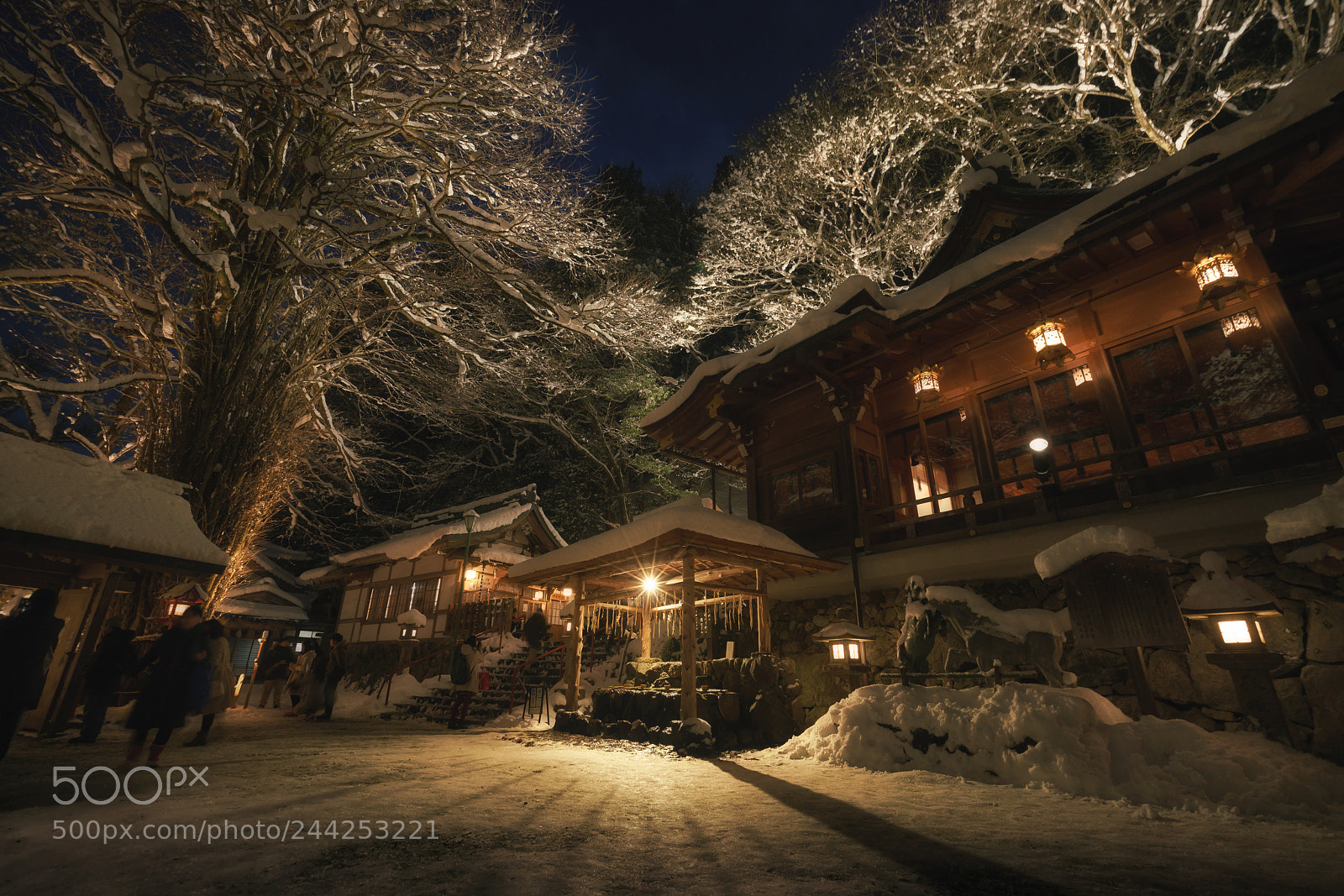 Sony a7R II sample photo. The lighting-up of kyoto photography