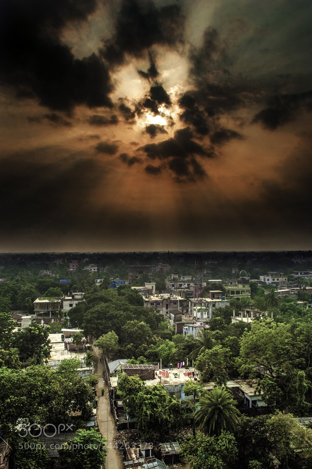 Nikon D3200 sample photo. Edit photography