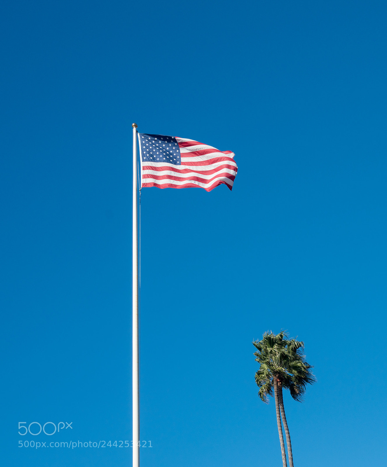 Sony a7R II sample photo. Usa stars and stripes photography
