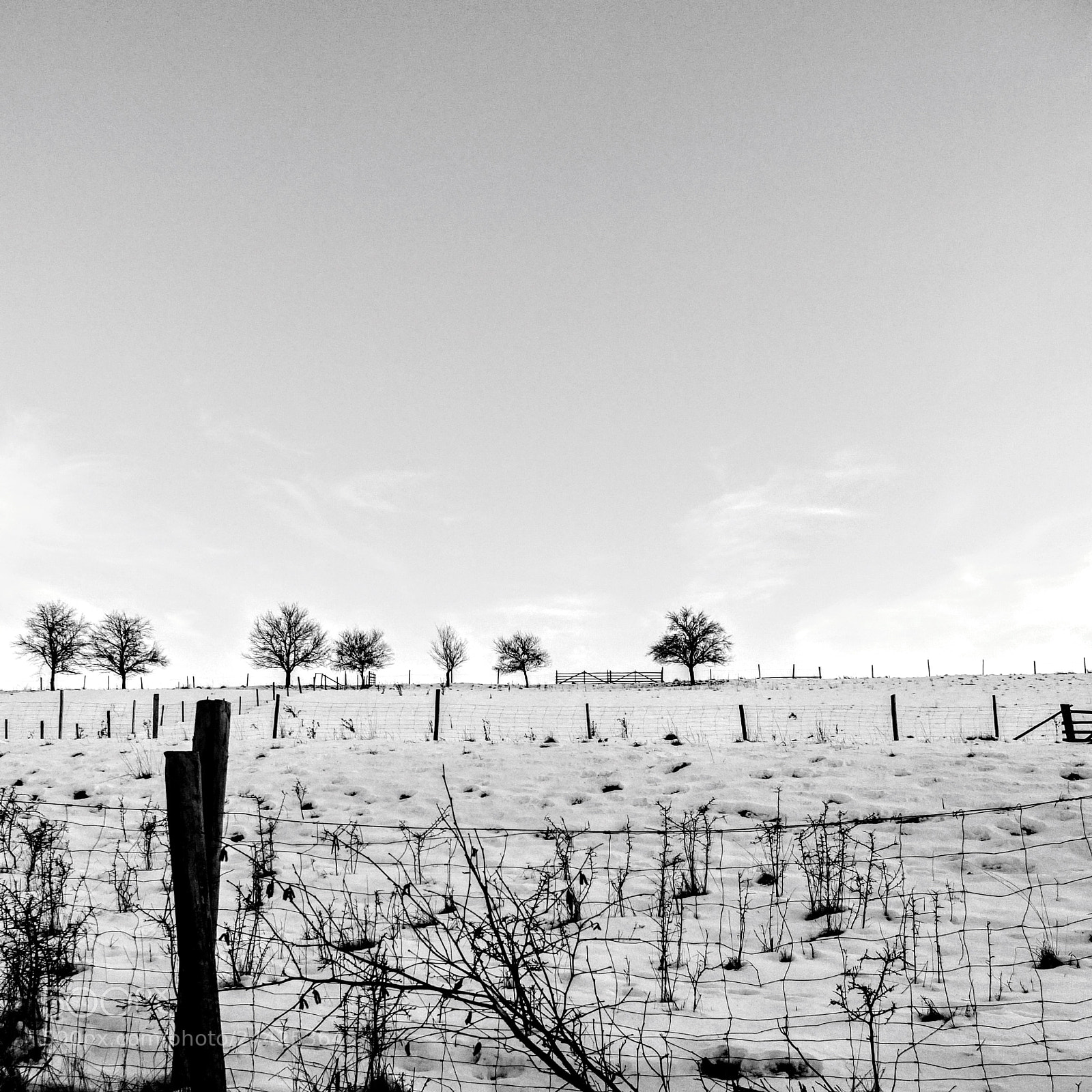 Fujifilm X10 sample photo. Untitled photography