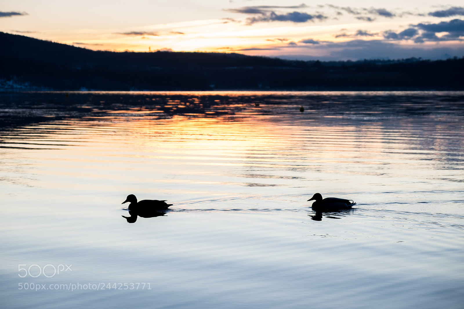 Fujifilm X-T10 sample photo. Love on the lake photography
