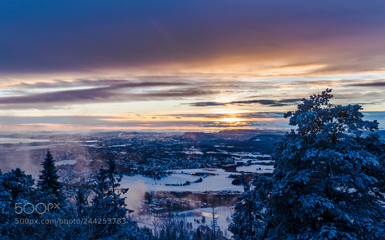 Nikon D850 sample photo. Oslo at the sunset photography