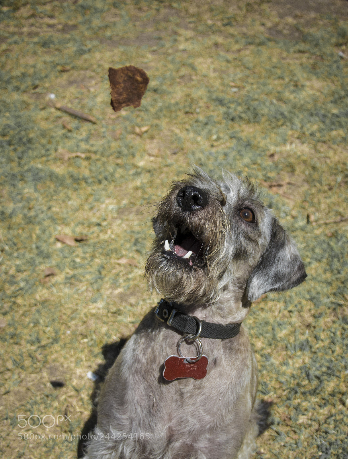 Nikon D7100 sample photo. 34.jpg photography