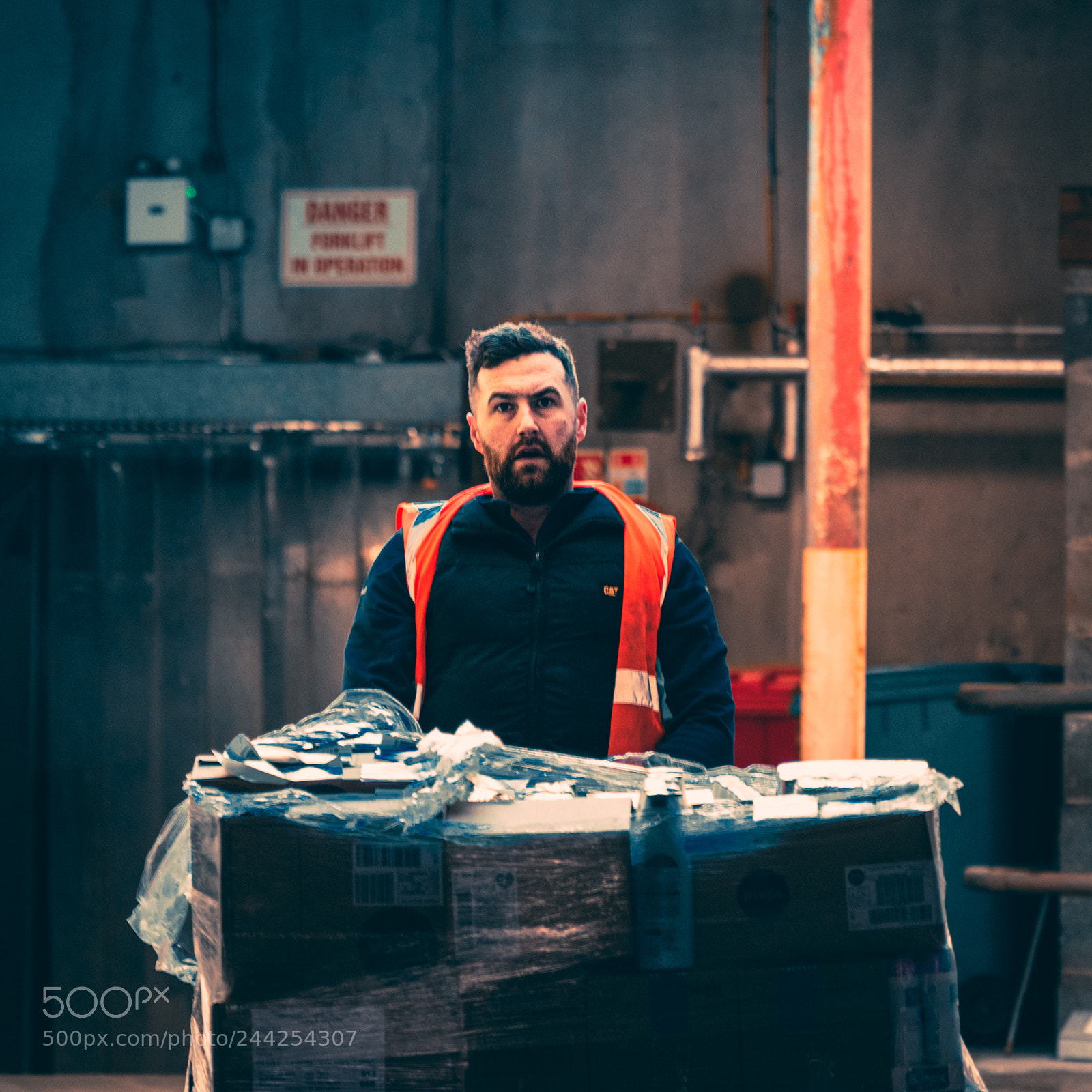 Nikon D5600 sample photo. Delivery in drogheda photography