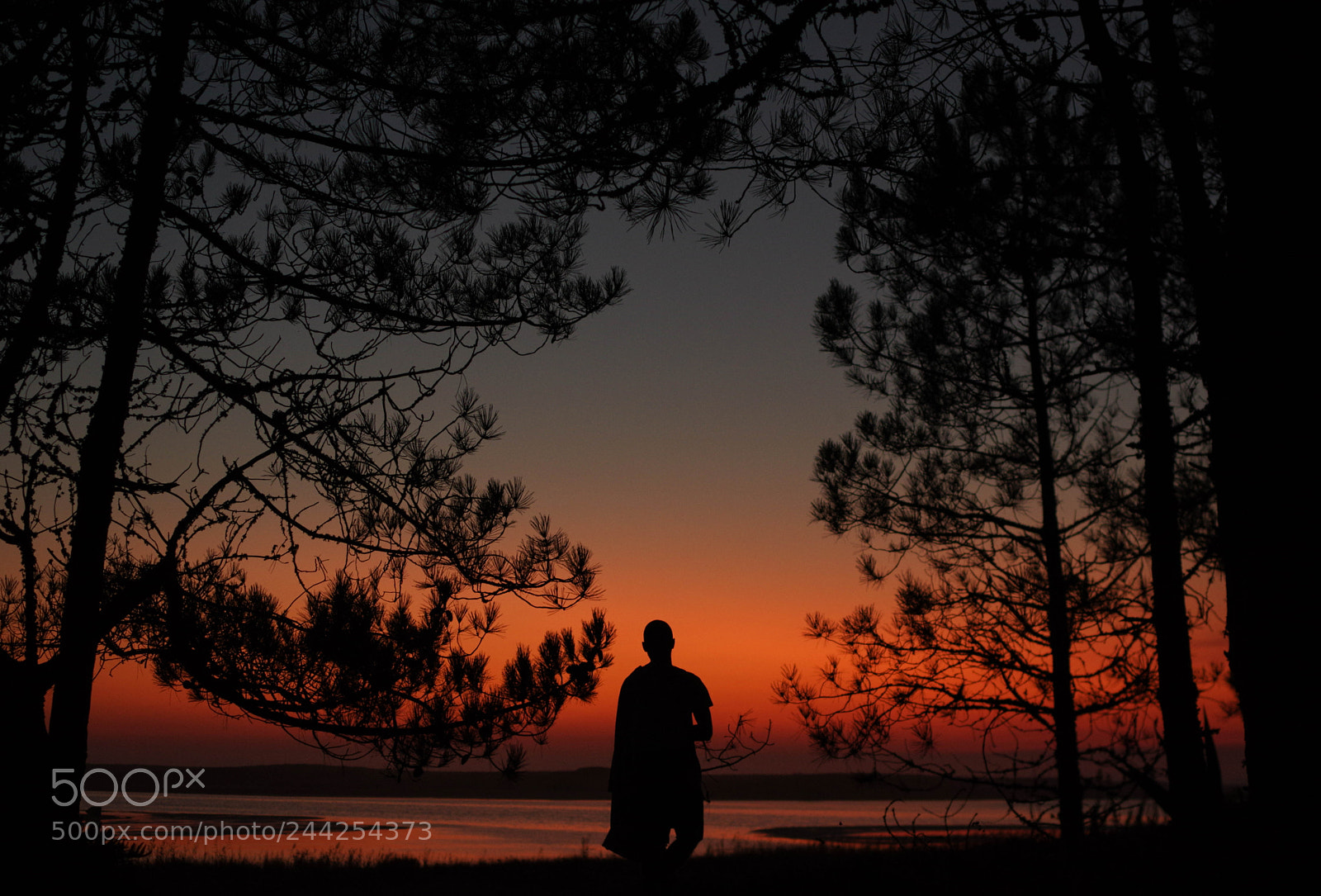 Pentax K-3 sample photo. Freedom of spirit photography