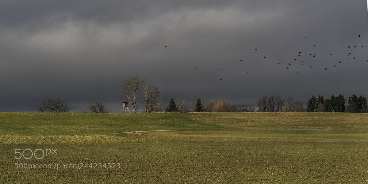 Sony a7R II sample photo. Ein wintertag photography