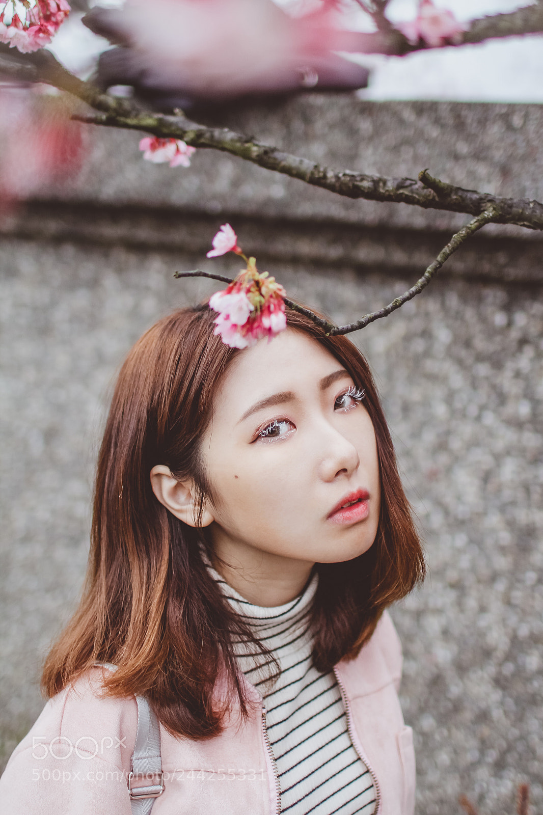 Canon EOS 60D sample photo. Cherry blossoms photography