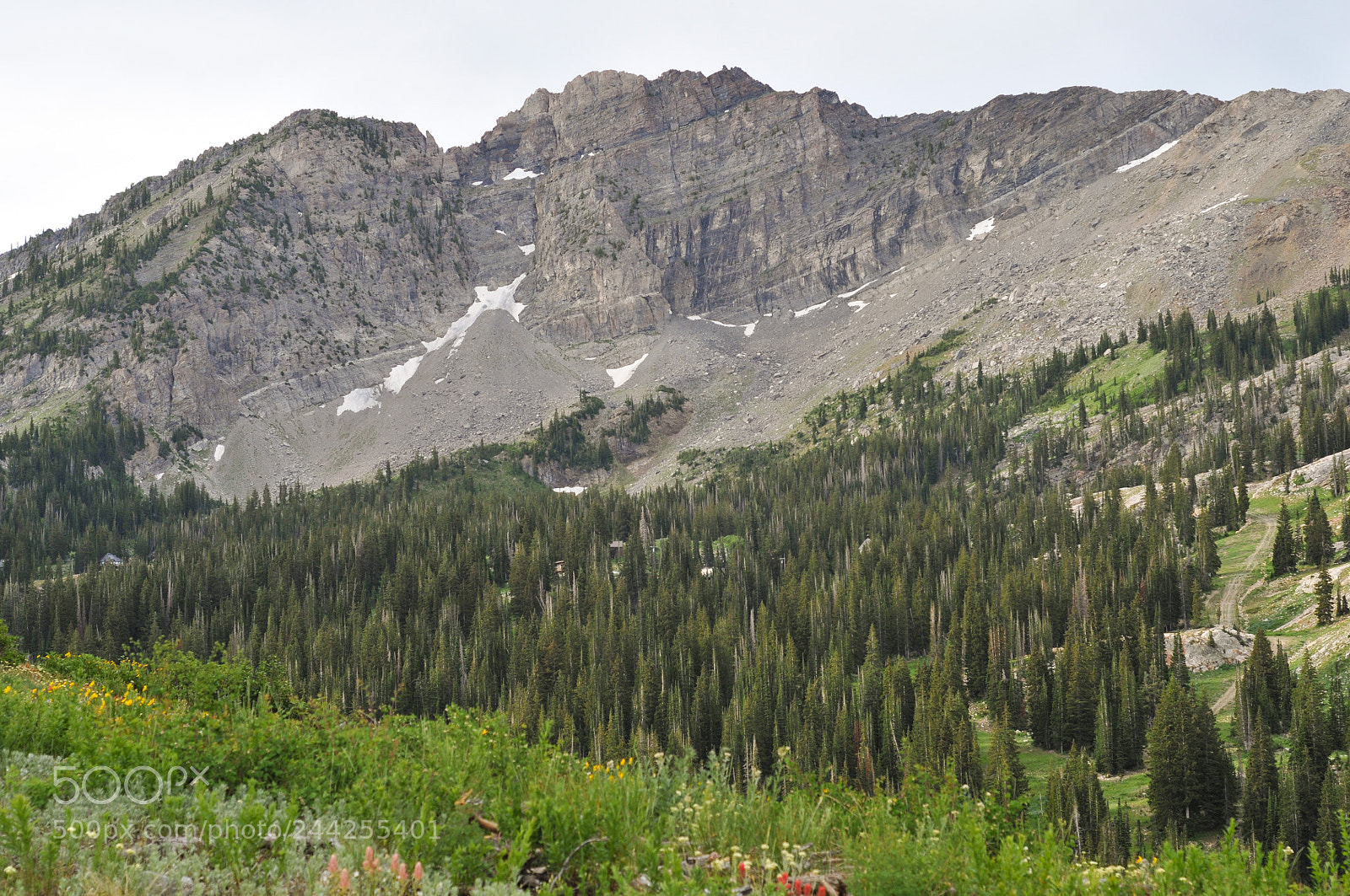 Nikon D300S sample photo. Devil's castle photography