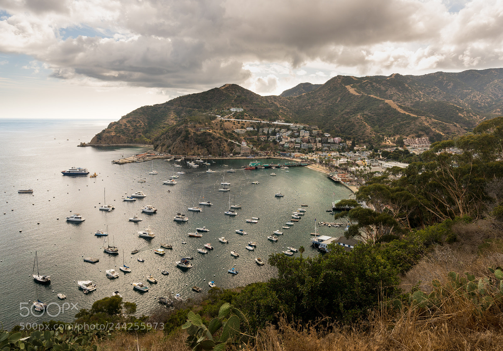Sony a7R II sample photo. Port of avalon on photography