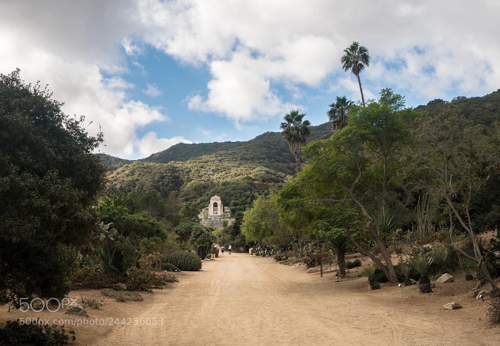 Sony a7R II sample photo. Wrigley memorial and botanic photography