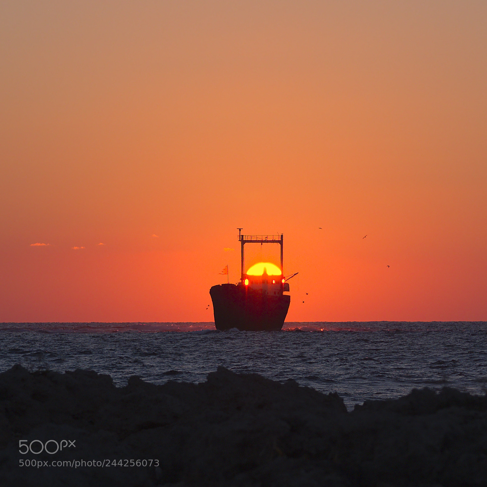 Olympus PEN E-PM2 sample photo. Bird's shipwreck photography