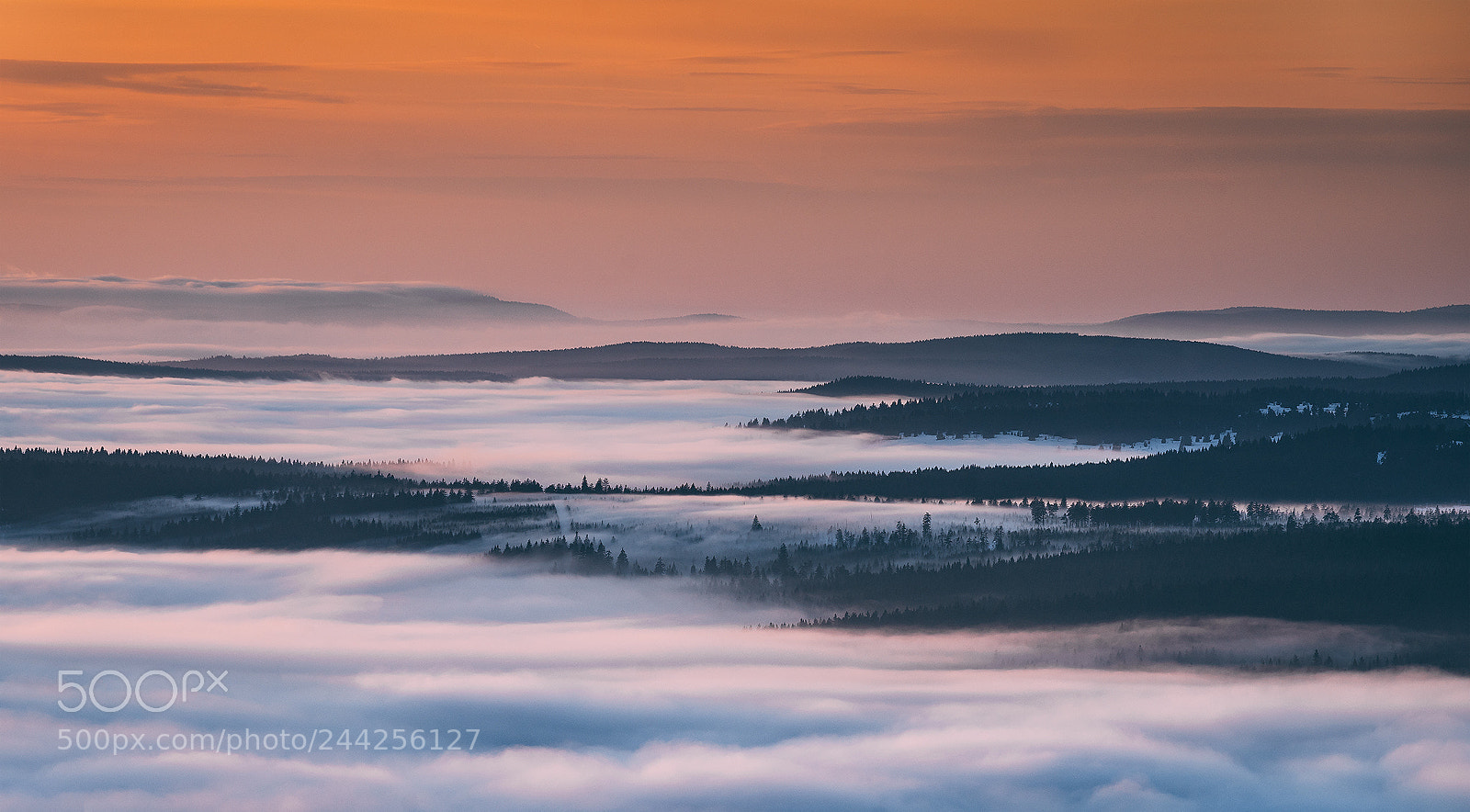 Sony a7 II sample photo. Krušné hory. photography